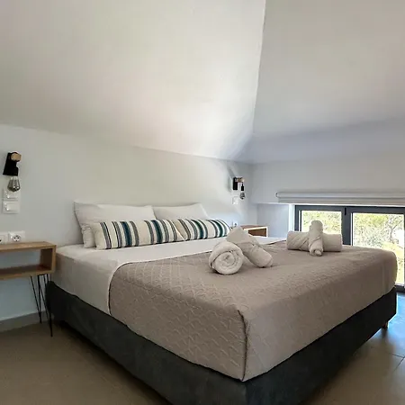 Drys Villas Mekoynida Karystos  Room photo