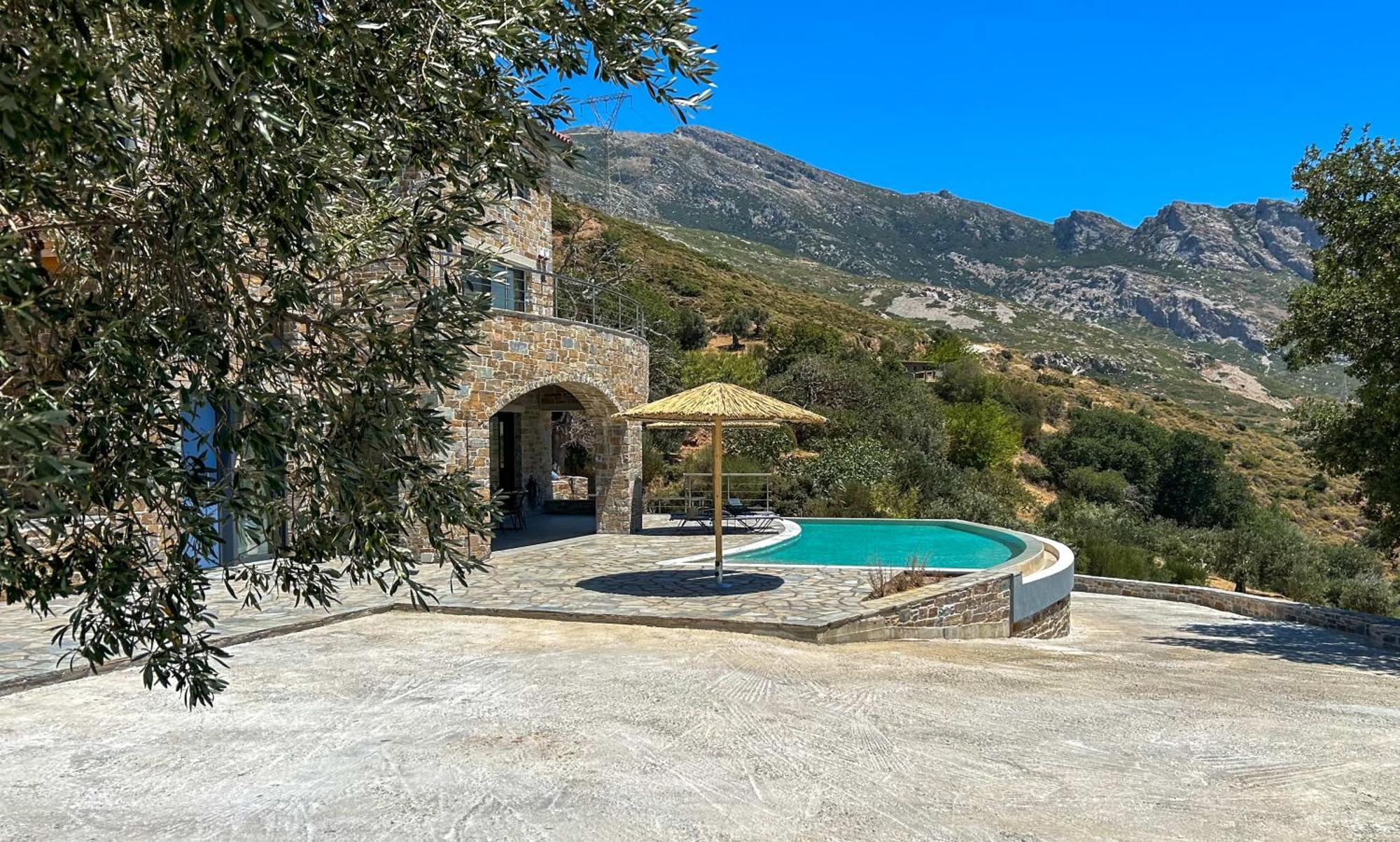 Drys Mekoynida Karystos (Evia)